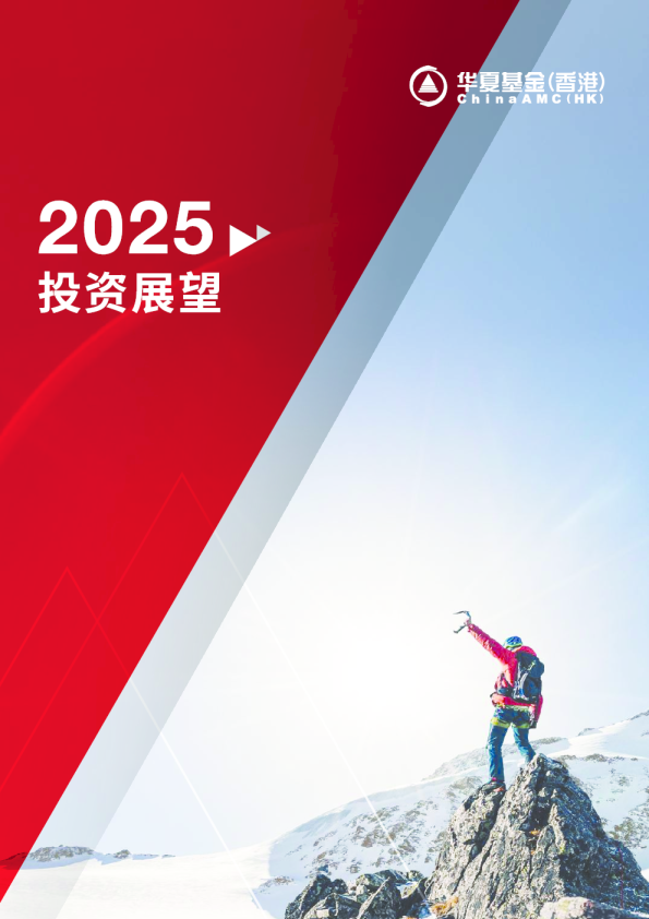 2025年投资展望报告