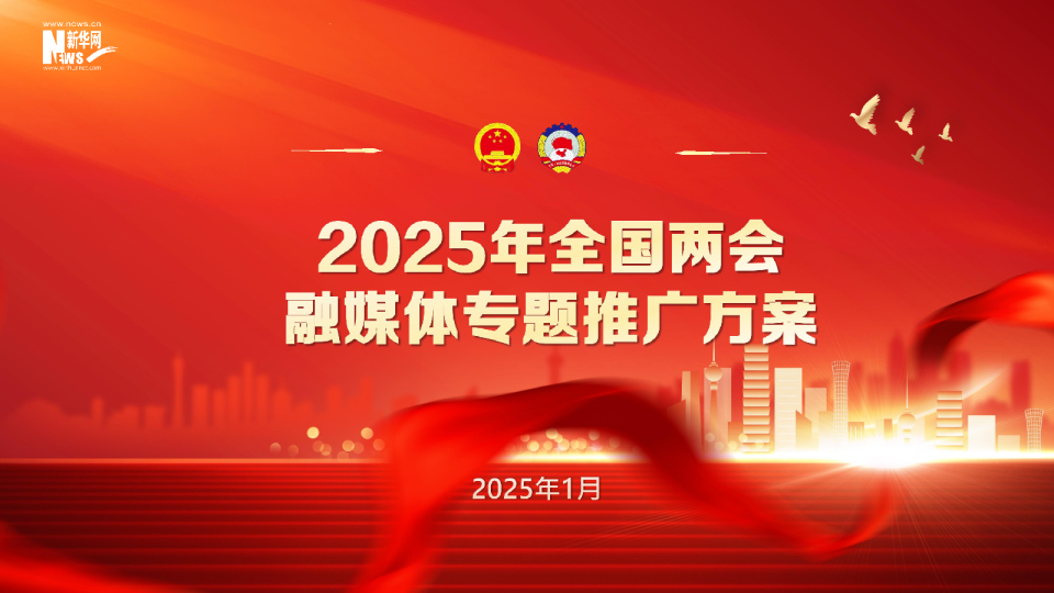 2025新华网两会专题合作方案