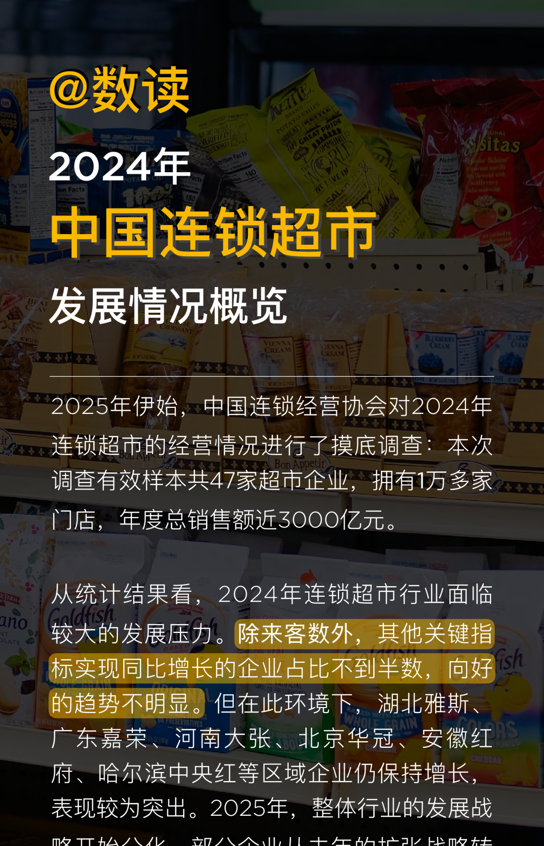 2024年中国连锁超市发展情况概览报告