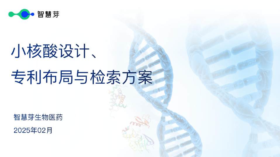 小核酸设计、专利布局与检索方案