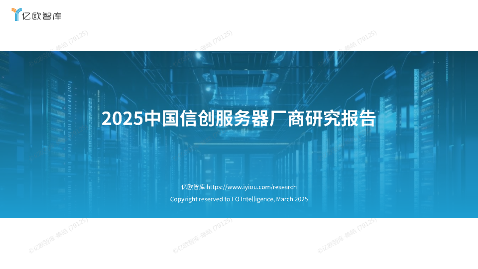 2025中国信创服务器厂商研究报告