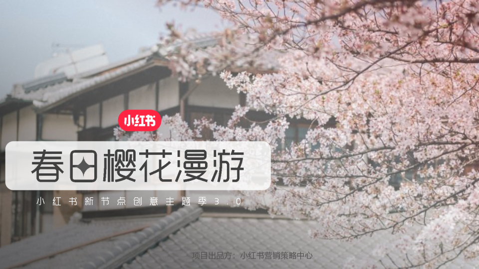 小红书樱花季3.0《春日樱花漫游》