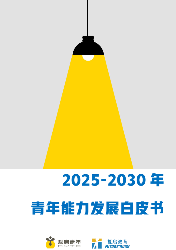 2025-2030年青年能力发展白皮书