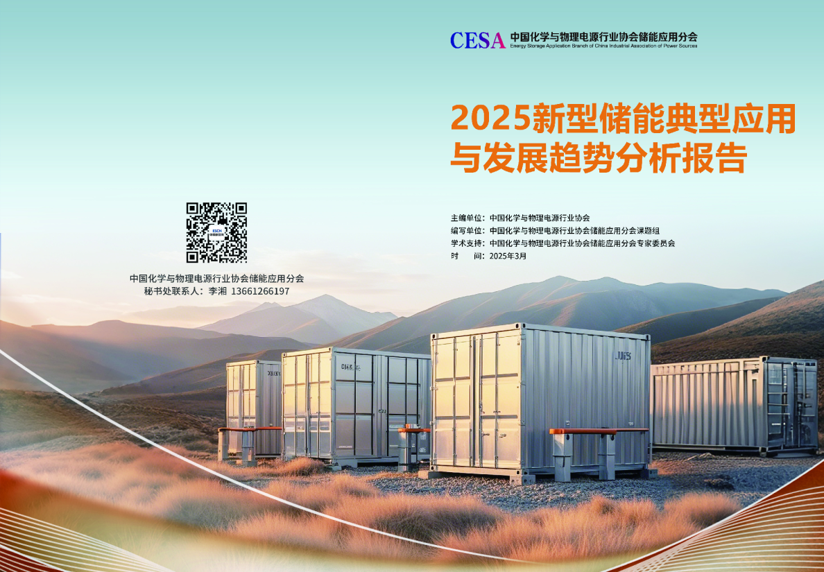 2025新型储能典型应用与发展趋势分析报告