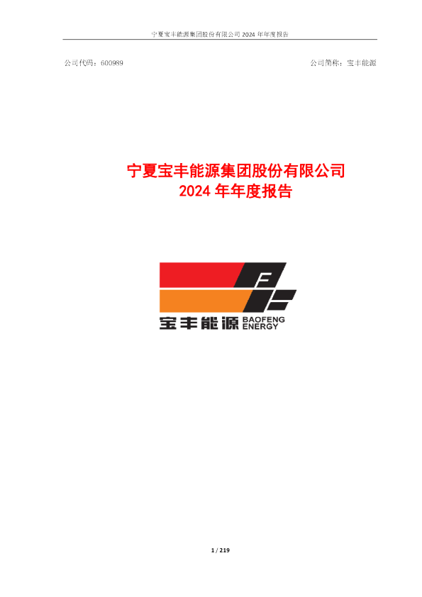 宝丰能源：宁夏宝丰能源集团股份有限公司2024年年度报告