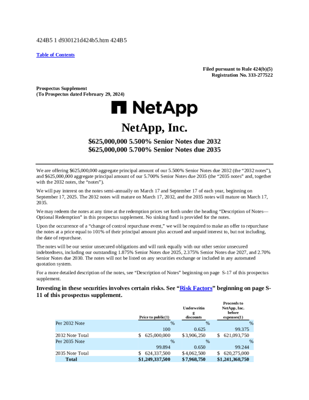 美国网存美股招股说明书(2025-03-13版)
