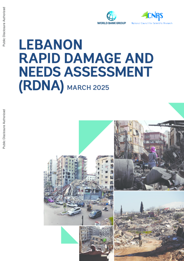 Lebanon Rapid Damage and Needs Assessment (RDNA)