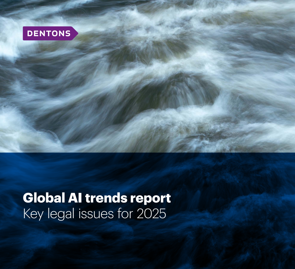 全球人工智能趋势报告 2025年关键法律问题
