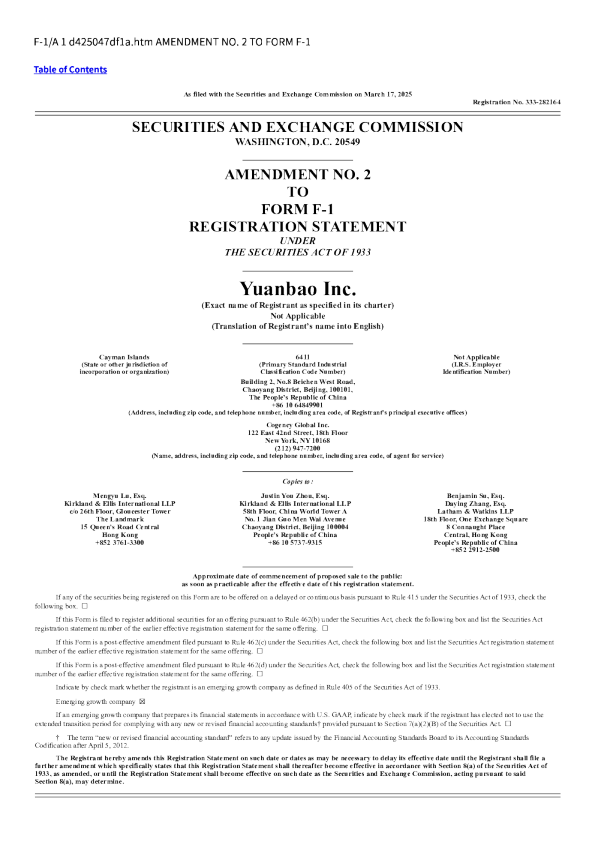 元保有限公司招股说明书