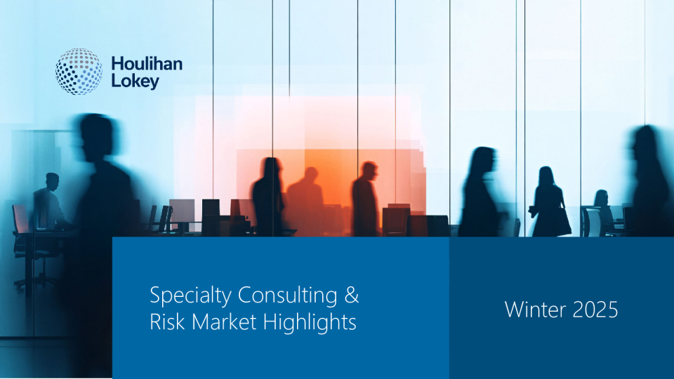 专业咨询和风险市场亮点