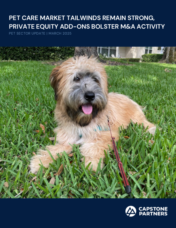 宠物行业更新报告：2025年3月