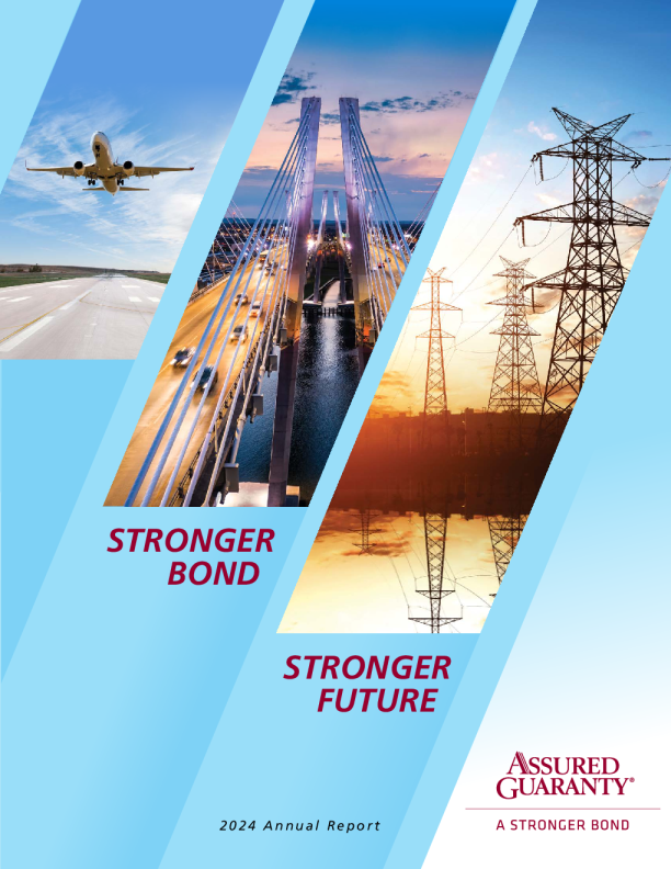 保证担保 2024年度报告