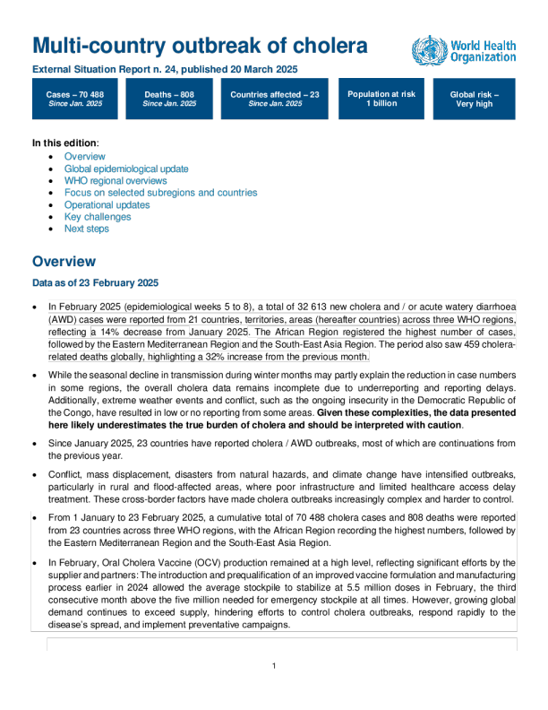 多国霍乱疫情，外部情况报告 #24 - 2025年3月20日