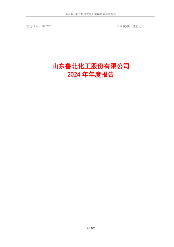 鲁北化工：鲁北化工2024年年度报告