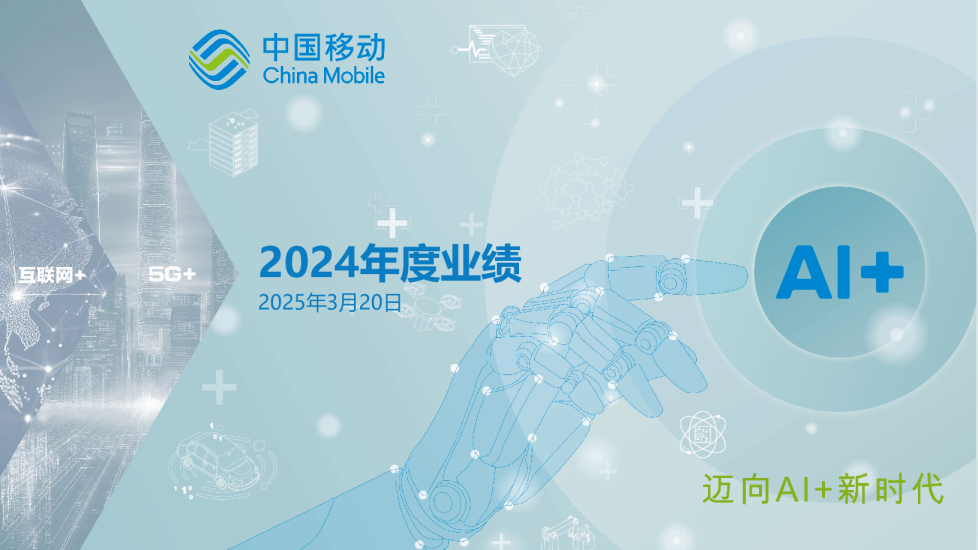 2024年度业绩