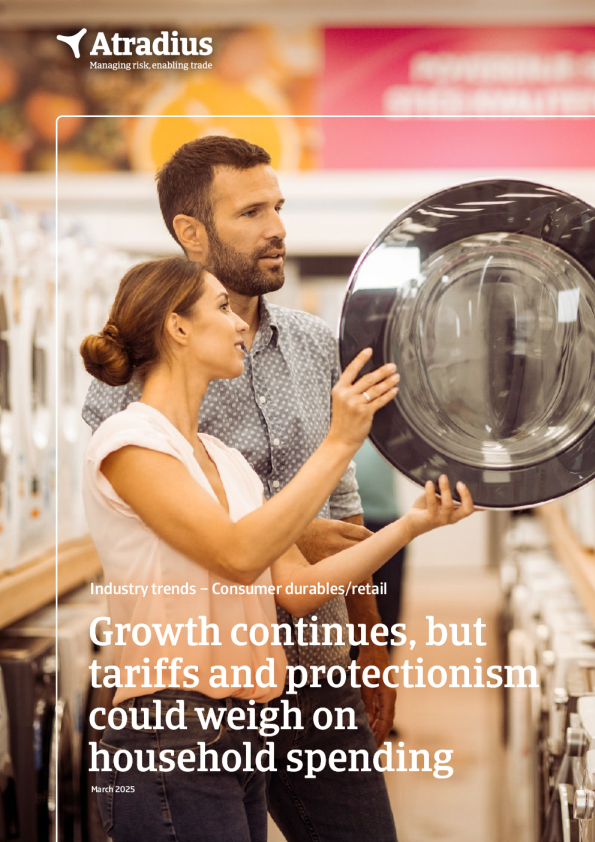 耐用消费品零售业趋势，2025年3月