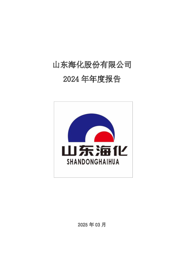 山东海化：2024年年度报告