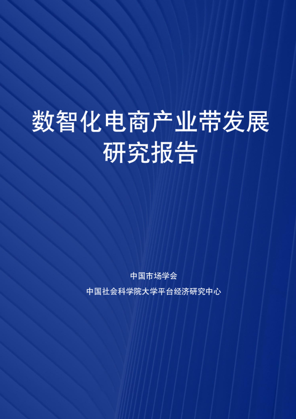 数智化电商产业带发展研究报告