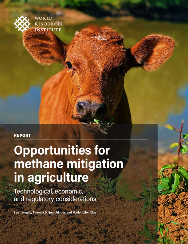 2025农业领域甲烷减排机遇报告：技术、经济及监管层面的考量（英）