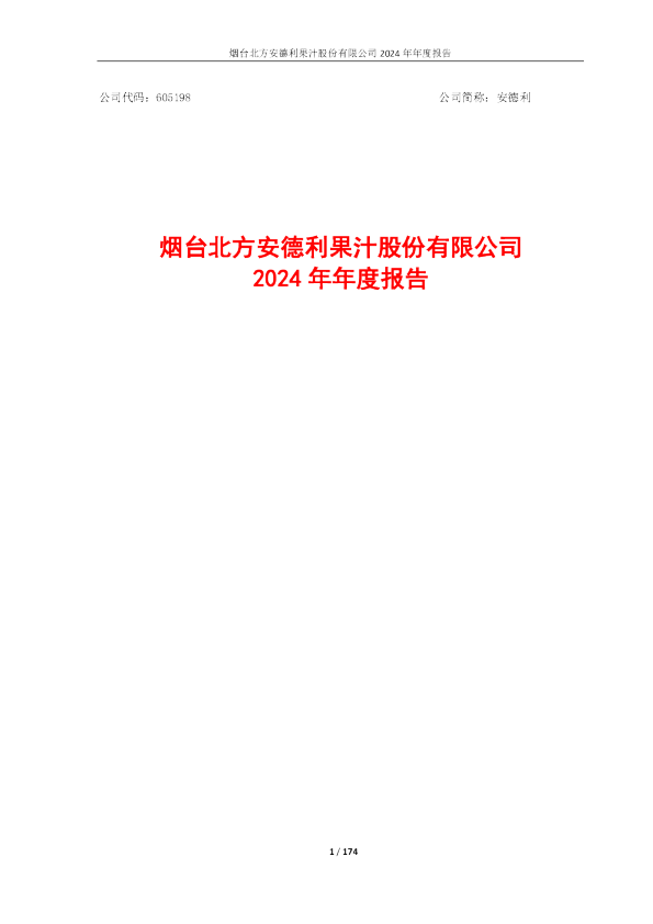 安德利:安德利:2024年年度报告