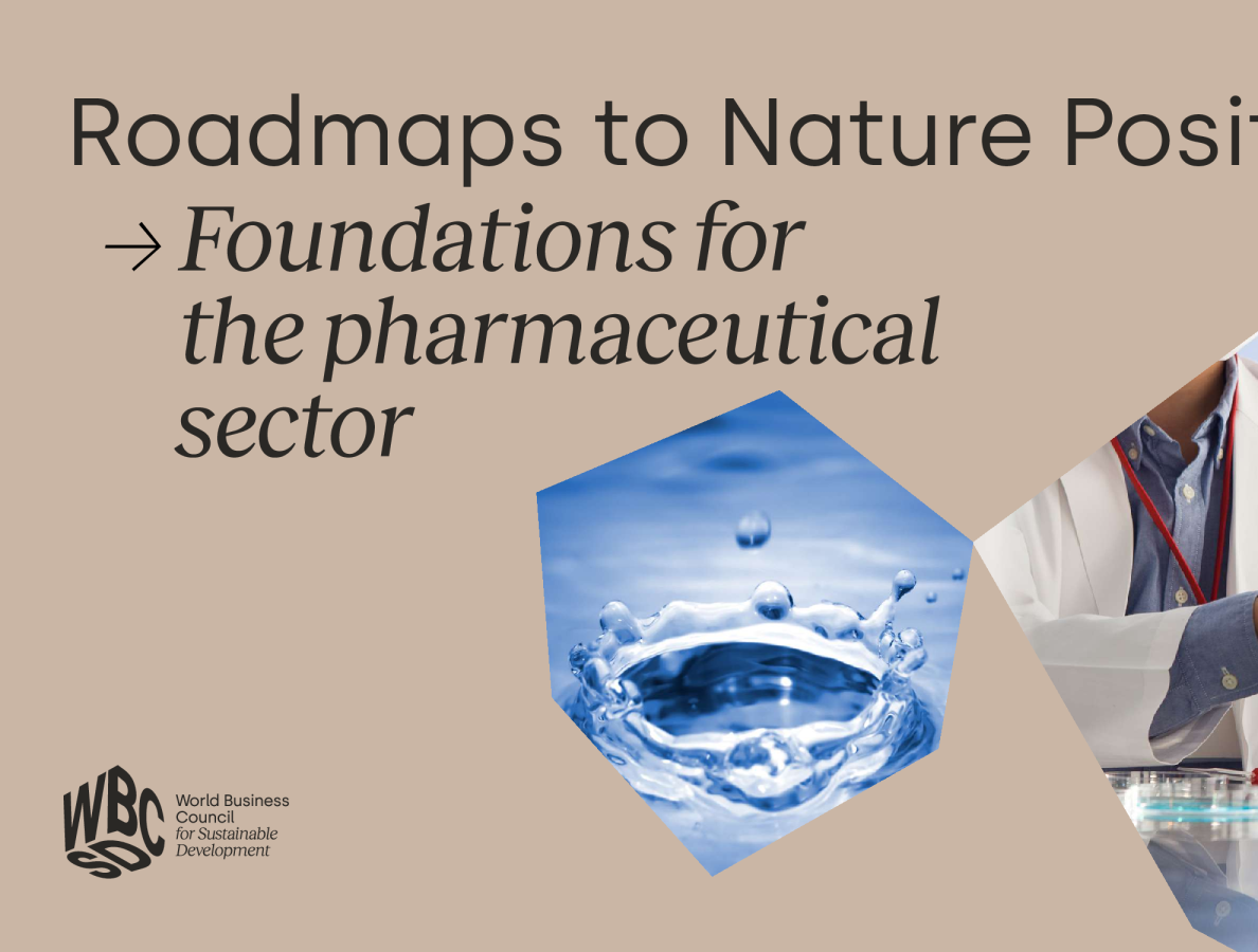 走向自然积极的路线图：制药行业的基础