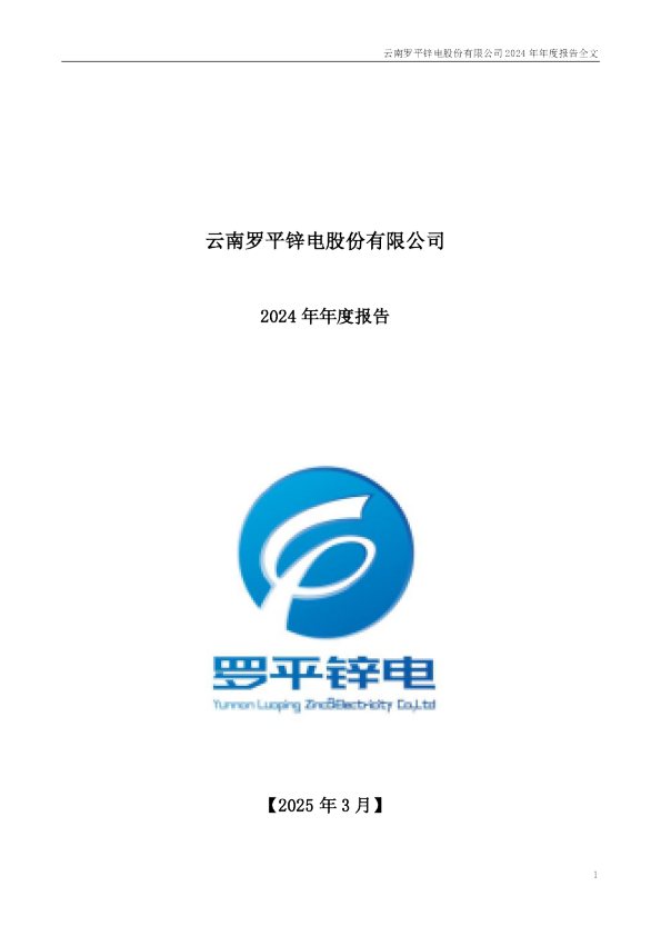 罗平锌电：2024年年度报告