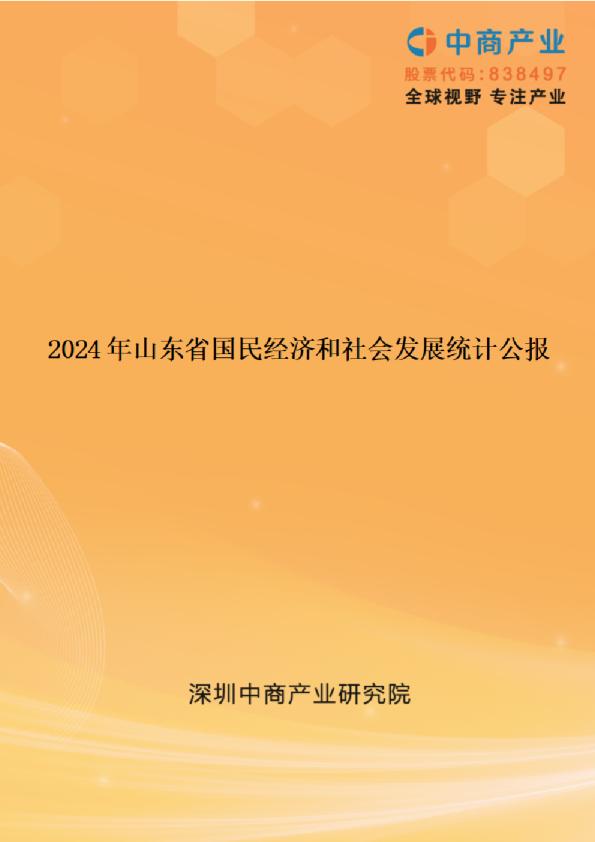 2024年山东省国民经济和社会发展统计公报
