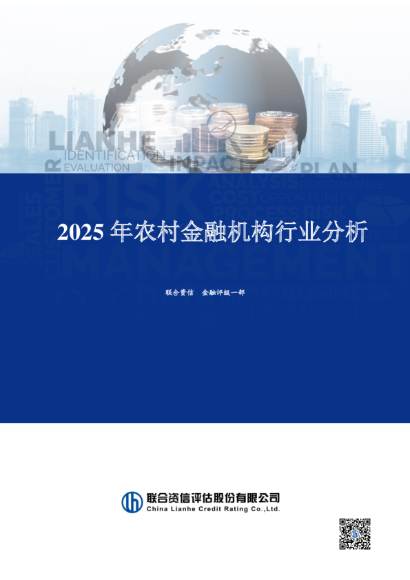 2025年农村金融机构行业分析