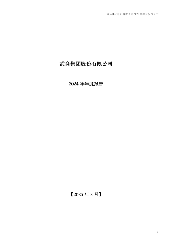 武商集团:2024年年度报告