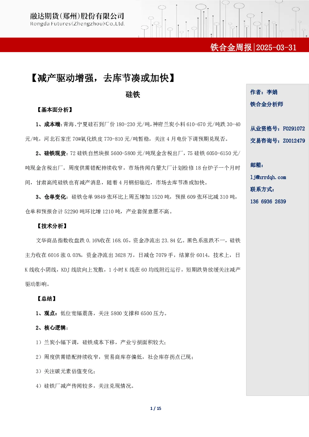 报告封面