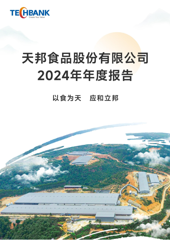 ST天邦:2024年年度报告
