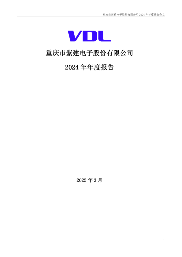 紫建电子：2024年年度报告