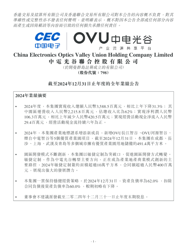 中电光谷：截至2024年12月31日止年度的全年业绩公告
