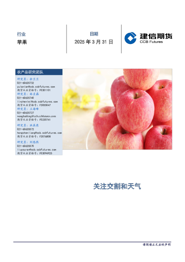 苹果月度报告