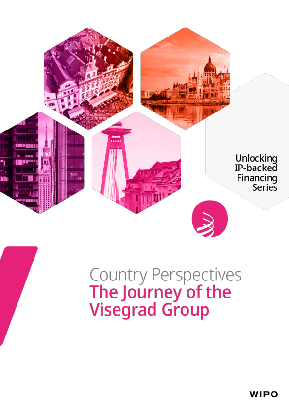 国家视角：维斯格莱德集团的历程