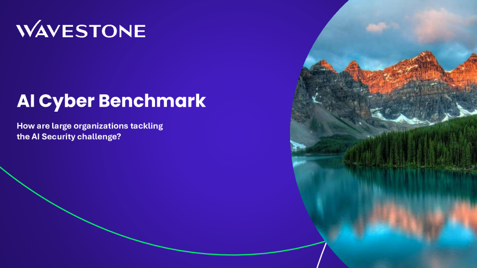 2025人工智能网络安全基准报告：大型组织AI安全挑战应对策略