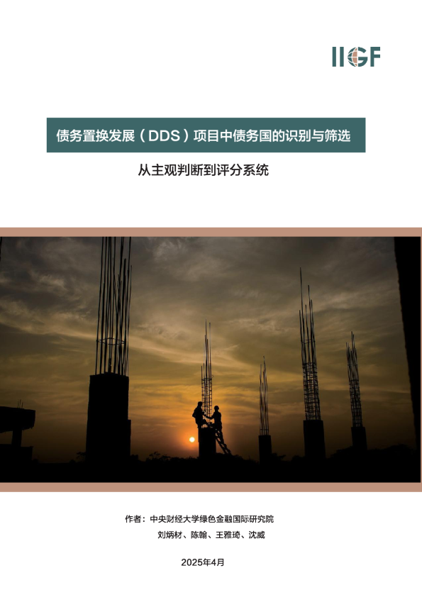 债务置换发展（dds）项目中债务国的识别与筛选