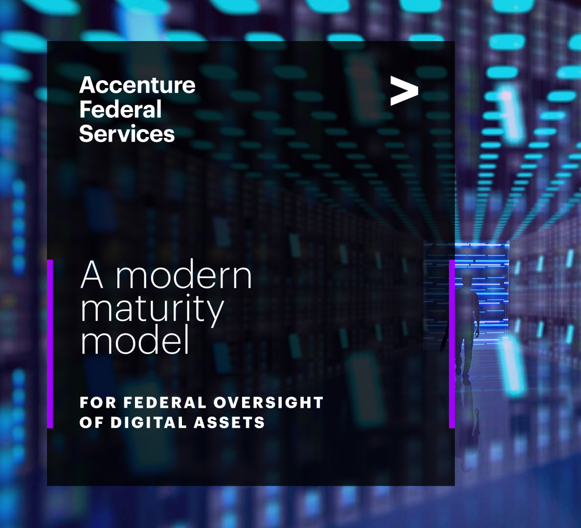联邦数字资产监管的现代成熟度模型