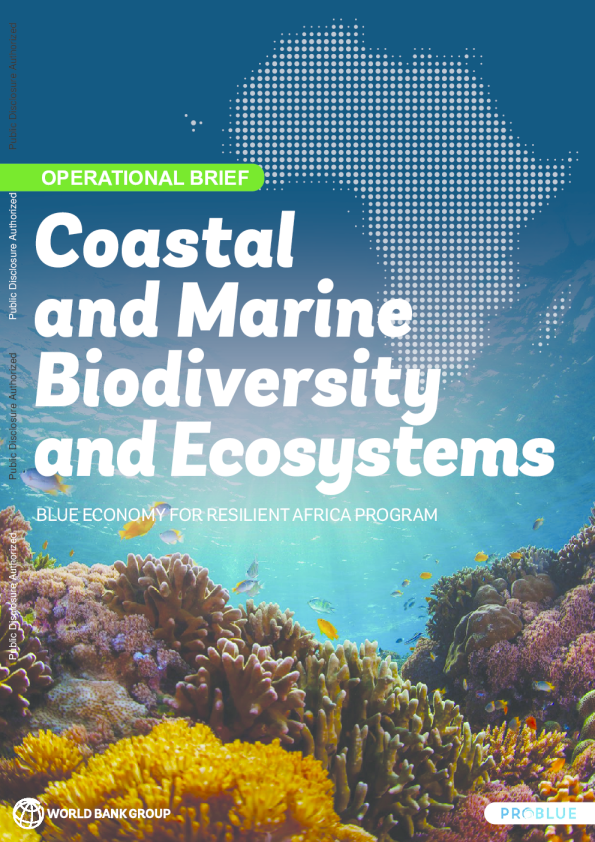 沿海和海洋生物多样性和生态系统2025