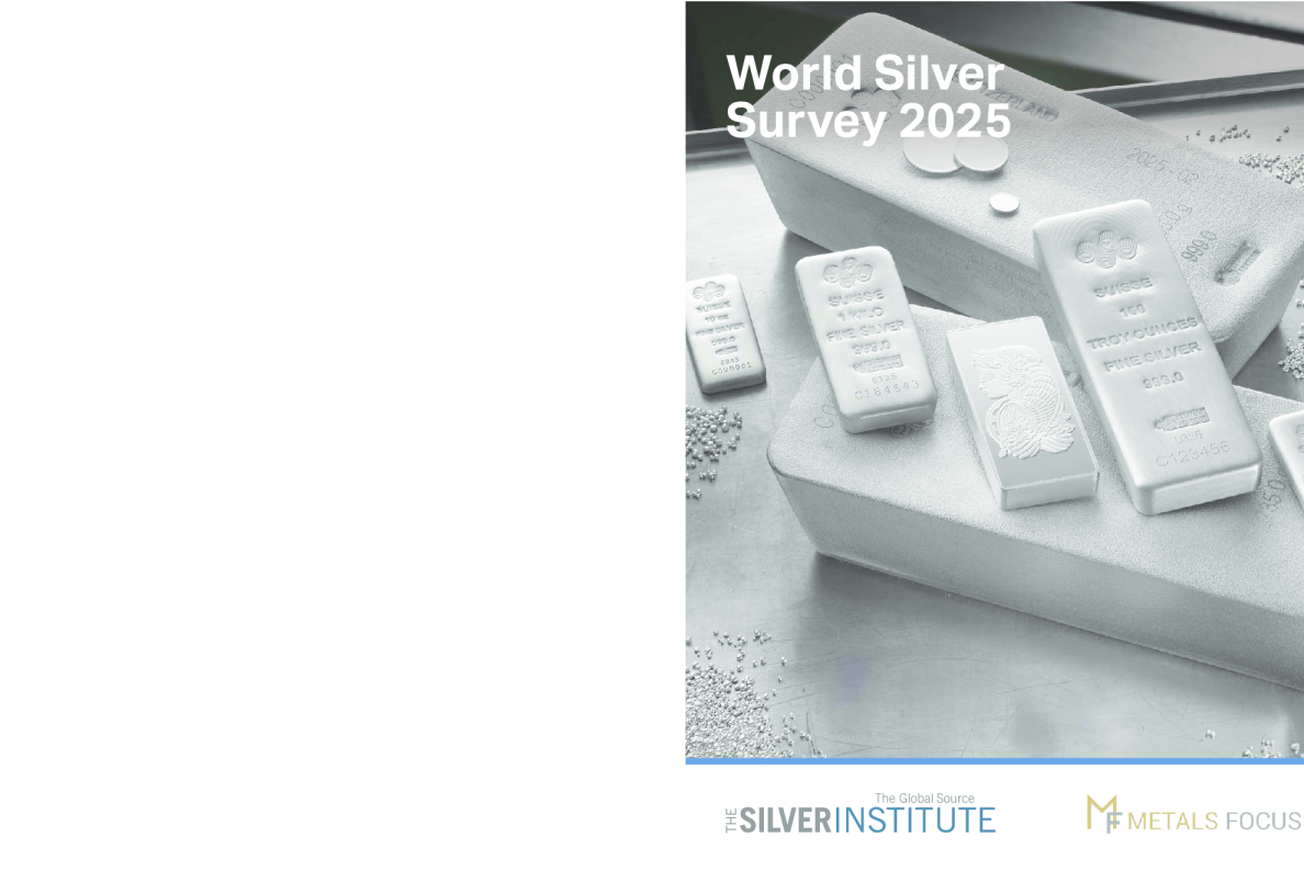 2025年世界白银调查