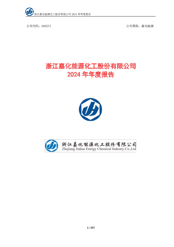 嘉化能源：2024年年度报告