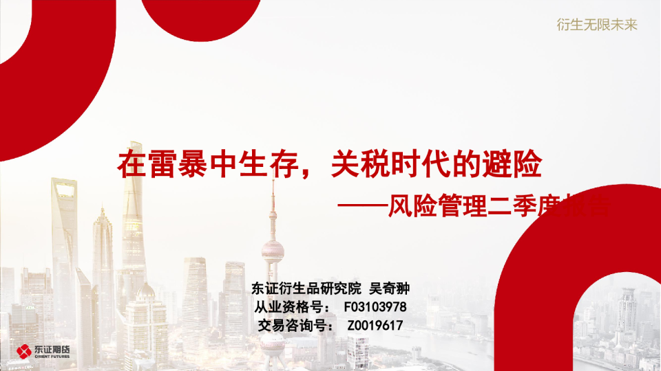 风险管理二季度报告：在雷暴中生存，关税时代的避险