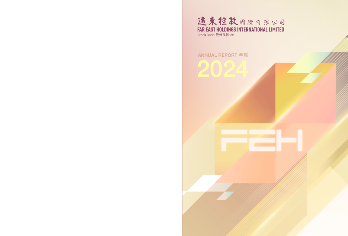 远东控股国际二零二四年年报