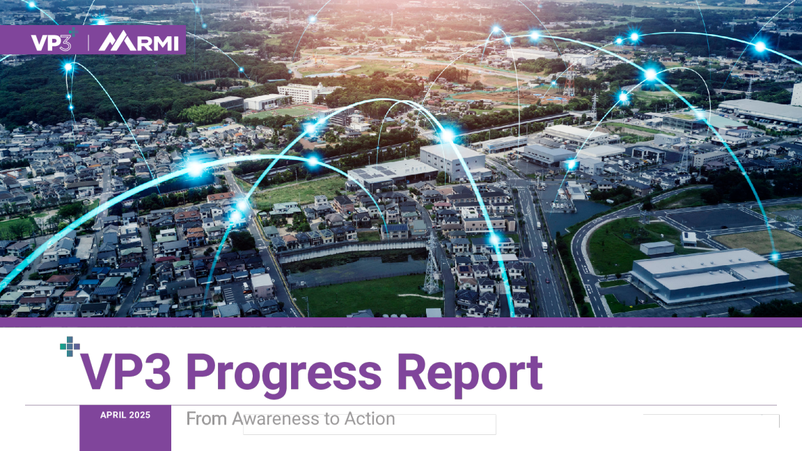 VP3进度报告：从认识到行动