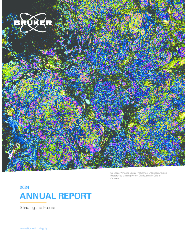 布鲁克 2024年度报告