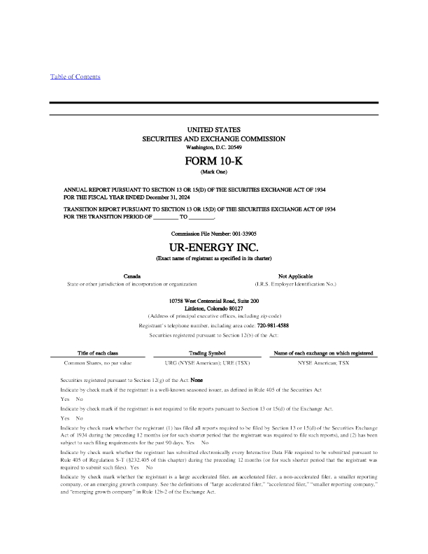 Ur-能源 2024年度报告