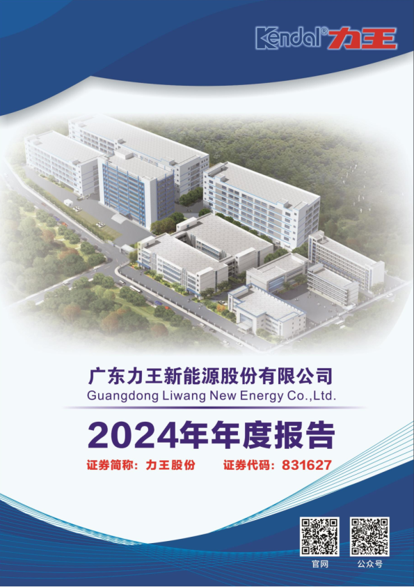 力王股份：2024年年度报告