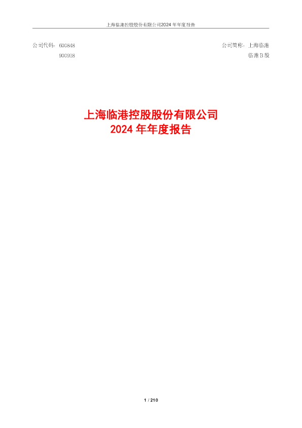 上海临港：2024年年度报告