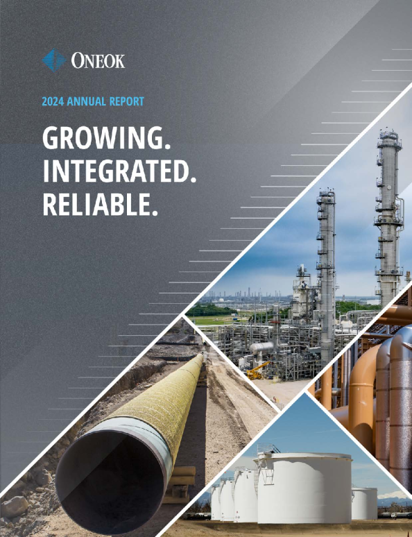 欧尼克 2024年度报告