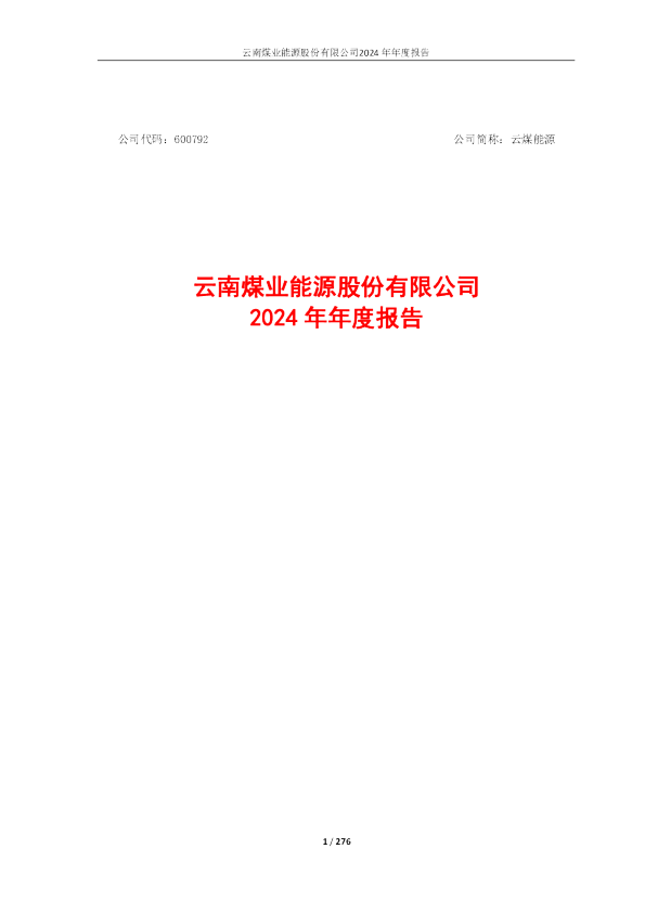 云煤能源：云南煤业能源股份有限公司2024年年度报告
